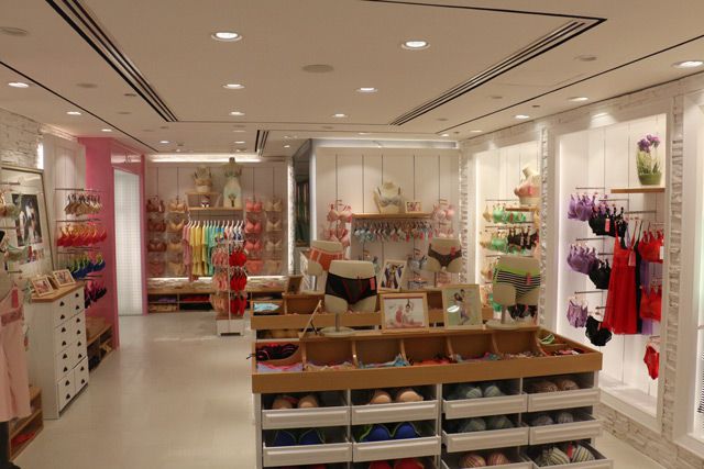 狄芬娜品牌內衣全力打造內衣加盟航母